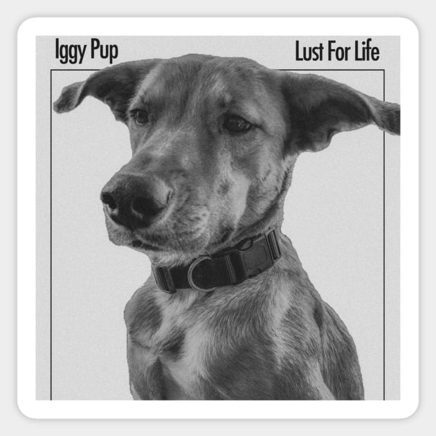 Iggy Pup: Lust for Life Sticker by Feel Feelings Podcast